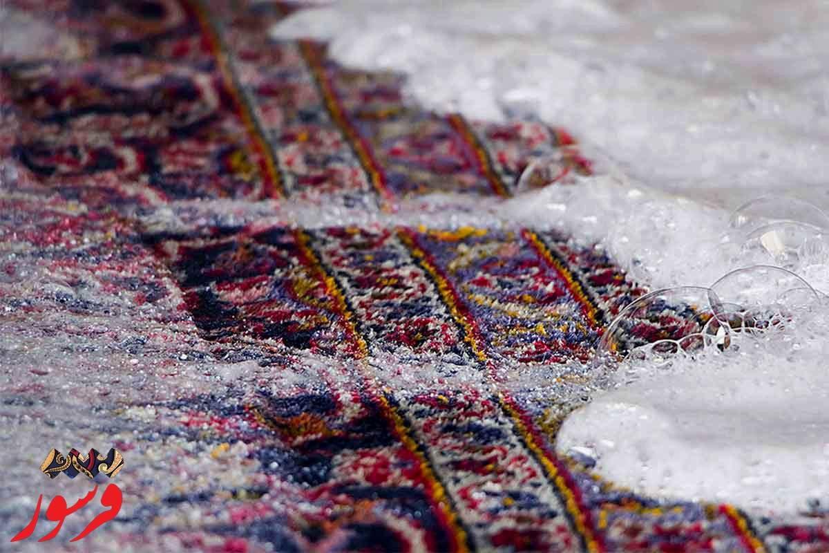 مقایسه بهترین قالیشویی های کشور توسط فرشور[ !برگزیده سال 1402]